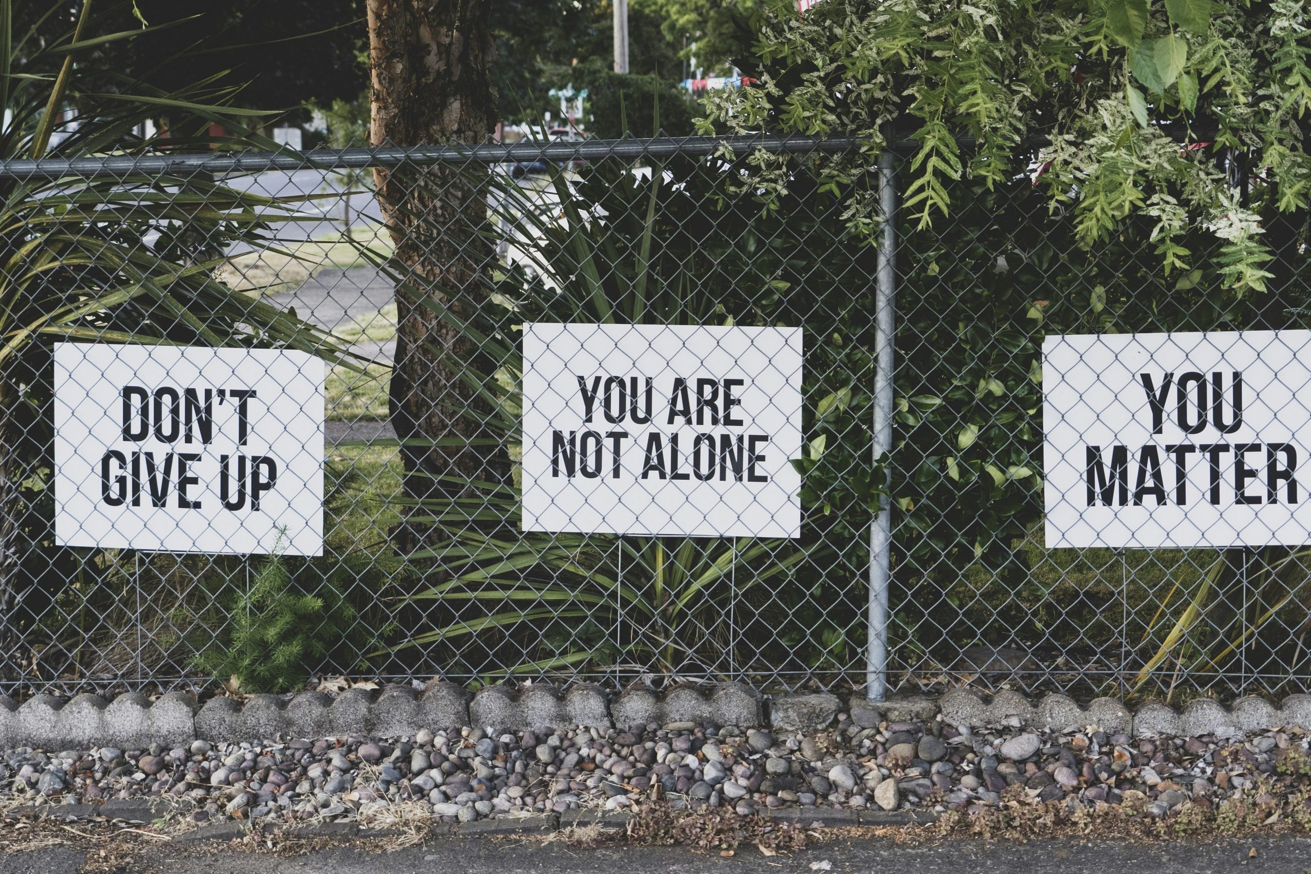Fenced off green area, on the fence there is a large white sign with black capitalised text which reads you are not alone. 